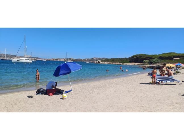 Anteprima foto 7 - Affitto Villetta a schiera Vacanze da Privato a Palau (Sassari)