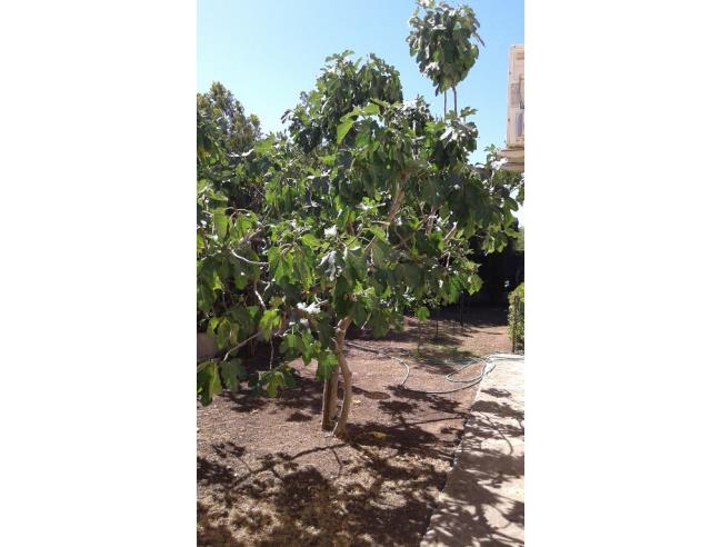 Anteprima foto 5 - Affitto Villetta a schiera Vacanze da Privato a Quartu Sant'Elena - Flumini