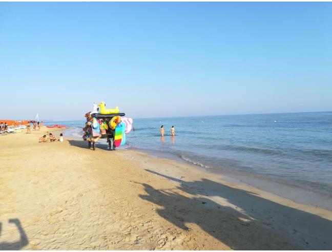 Anteprima foto 5 - Affitto Villetta a schiera Vacanze da Privato a Salve - Torre Pali