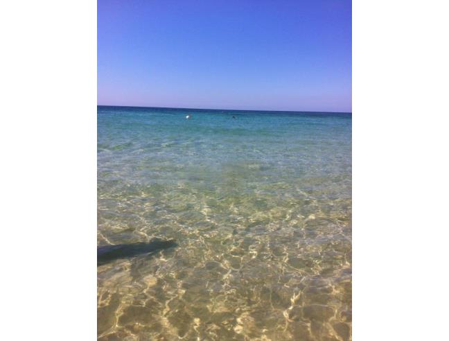 Anteprima foto 6 - Affitto Villetta a schiera Vacanze da Privato a Salve - Torre Pali