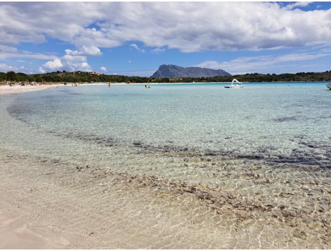 Anteprima foto 2 - Affitto Villetta a schiera Vacanze da Privato a San Teodoro (Sassari)