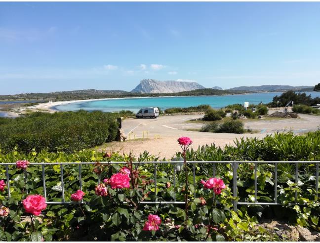 Anteprima foto 7 - Affitto Villetta a schiera Vacanze da Privato a San Teodoro (Sassari)