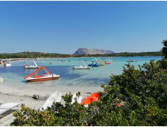 Anteprima foto 8 - Affitto Villetta a schiera Vacanze da Privato a San Teodoro (Sassari)