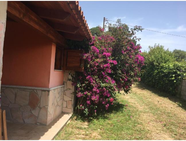 Anteprima foto 1 - Affitto Villetta a schiera Vacanze da Privato a San Teodoro - Suaredda