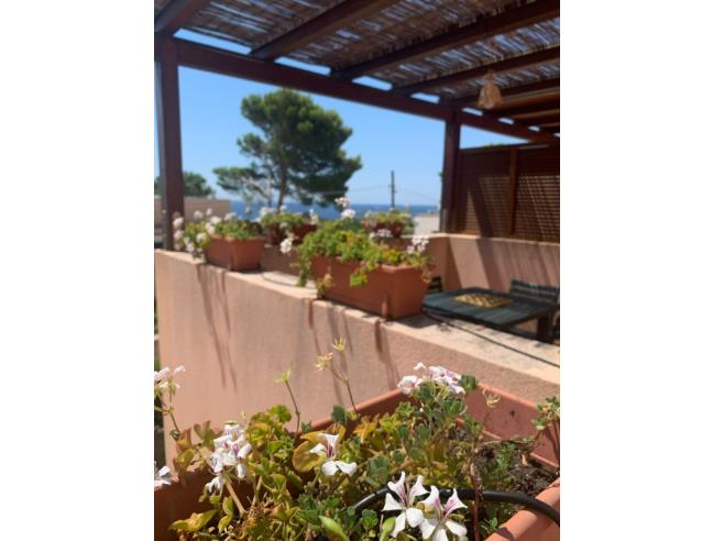 Anteprima foto 8 - Affitto Villetta a schiera Vacanze da Privato a San Vito Lo Capo - Macari