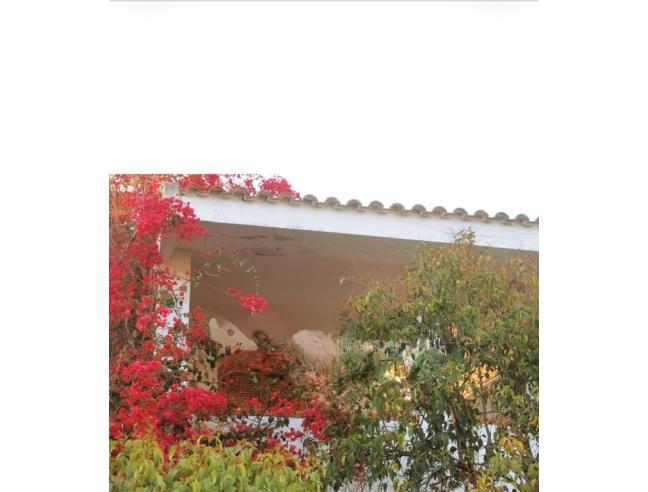 Anteprima foto 2 - Affitto Villetta a schiera Vacanze da Privato a Sellia Marina (Catanzaro)