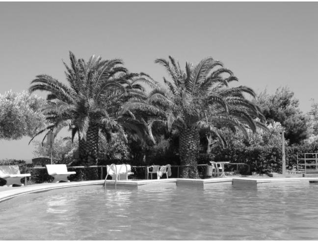 Anteprima foto 8 - Affitto Villetta a schiera Vacanze da Privato a Stalettì - Copanello