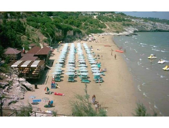 Anteprima foto 8 - Affitto Villetta a schiera Vacanze da Privato a Vieste (Foggia)