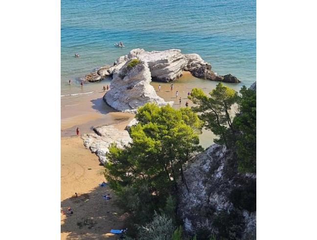 Anteprima foto 8 - Affitto Villetta a schiera Vacanze da Privato a Vieste (Foggia)