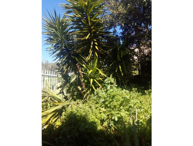 Anteprima foto 2 - Affitto Villetta a schiera Vacanze da Privato a Vieste - Pugnochiuso