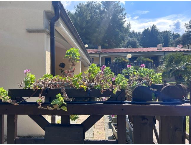 Anteprima foto 2 - Affitto Villetta a schiera Vacanze da Privato a Vieste - Pugnochiuso