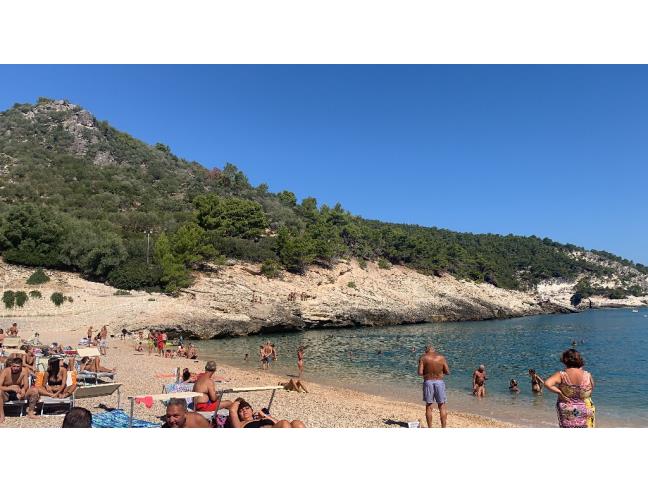 Anteprima foto 4 - Affitto Villetta a schiera Vacanze da Privato a Vieste - Pugnochiuso