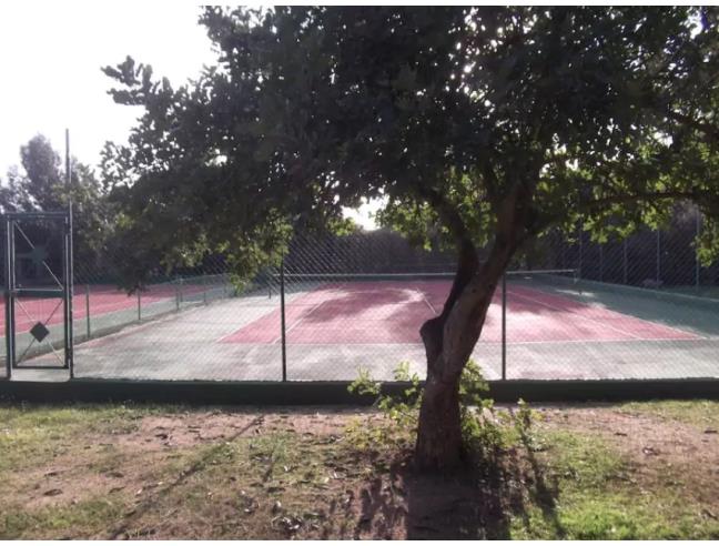 Anteprima foto 8 - Affitto Villetta a schiera Vacanze da Privato a Villasimius (Sud Sardegna)