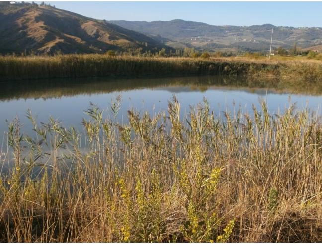 Anteprima foto 3 - Albergo/Struttura ricettiva in Vendita a Valsamoggia (Bologna)