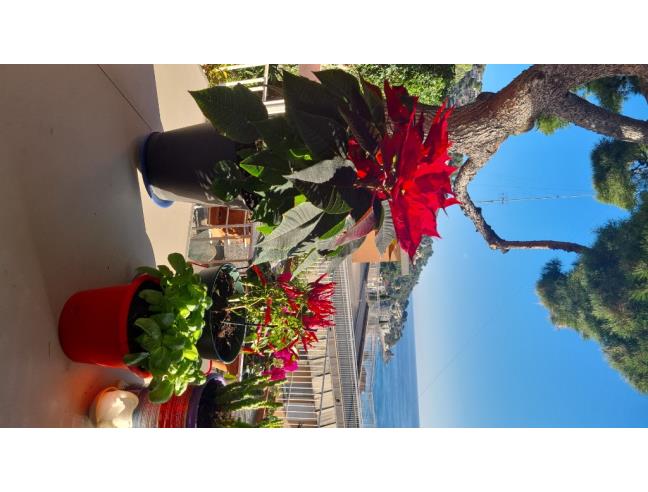 Anteprima foto 4 - Altro in Affitto a Alassio - Solva