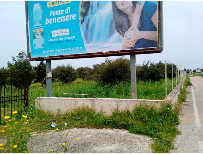 Anteprima foto 2 - Altro in Affitto a Bari - San Giorgio