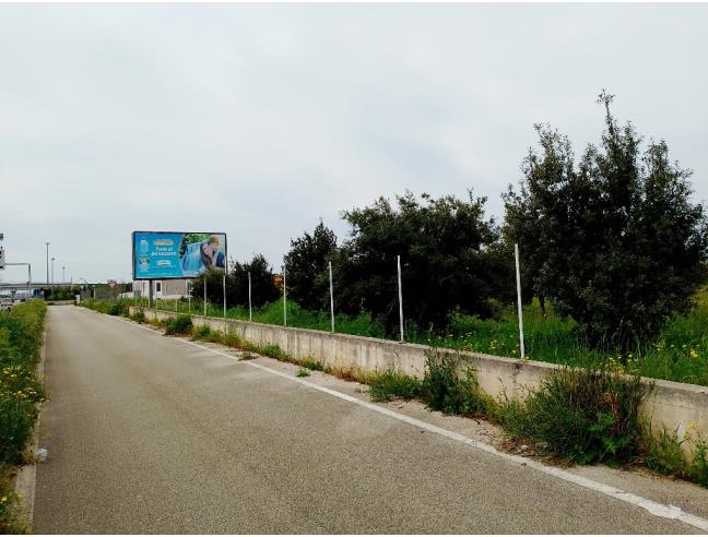 Anteprima foto 3 - Altro in Affitto a Bari - San Giorgio