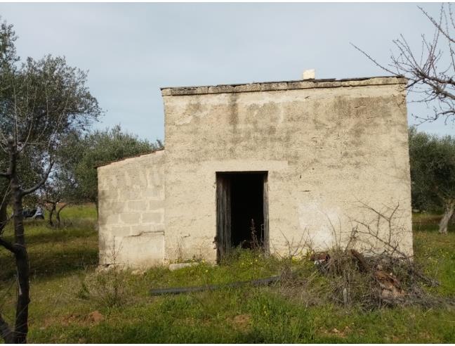 Anteprima foto 4 - Altro in Affitto a Bari - San Giorgio
