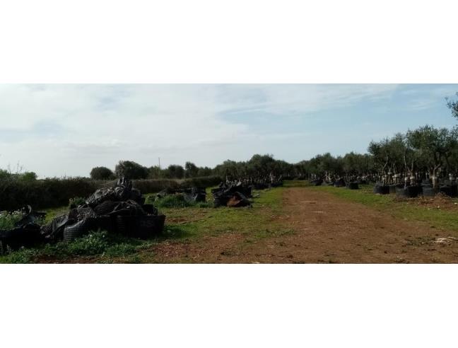Anteprima foto 6 - Altro in Affitto a Bari - San Giorgio