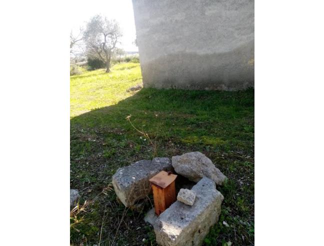 Anteprima foto 7 - Altro in Affitto a Bari - San Giorgio