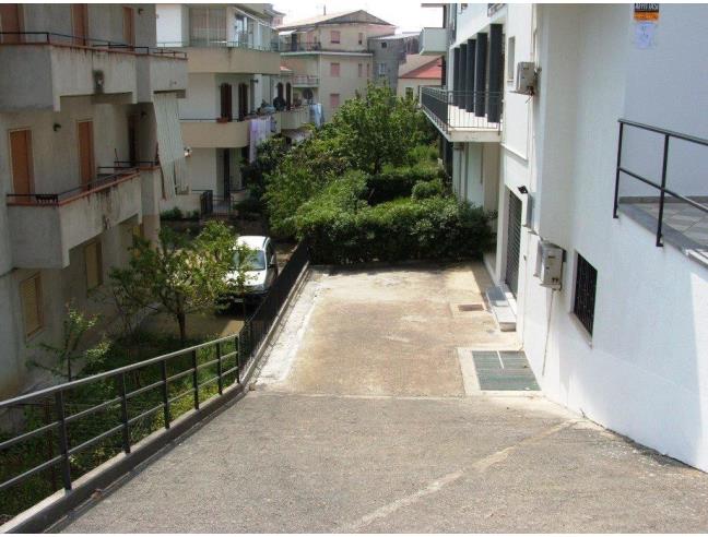 Anteprima foto 2 - Altro in Affitto a Belvedere Marittimo - Calabaia