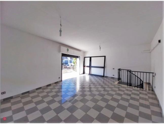 Anteprima foto 7 - Altro in Affitto a Belvedere Marittimo - Calabaia