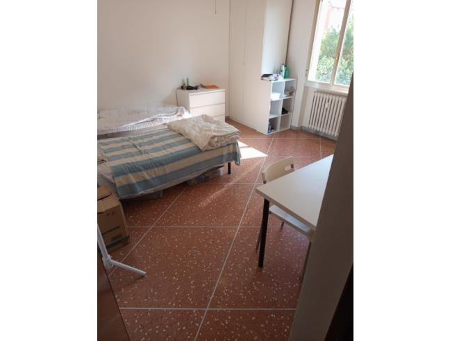 Anteprima foto 6 - Altro in Affitto a Bologna - San Donato