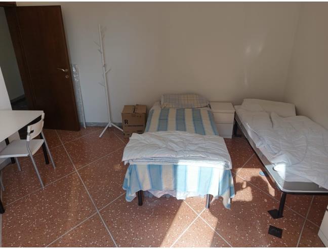 Anteprima foto 7 - Altro in Affitto a Bologna - San Donato