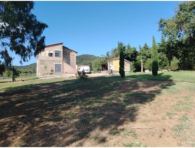 Anteprima foto 2 - Altro in Affitto a Castiglione della Pescaia - Ampio