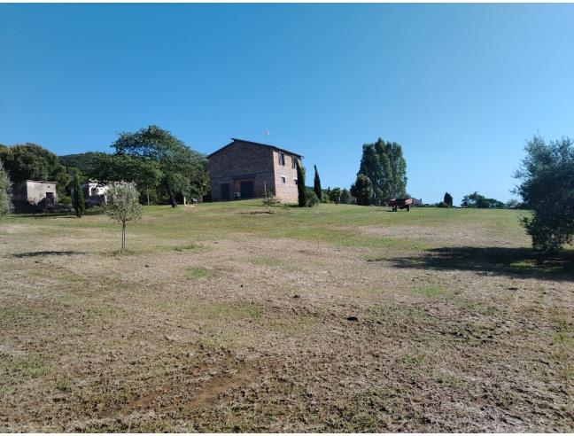 Anteprima foto 6 - Altro in Affitto a Castiglione della Pescaia - Ampio