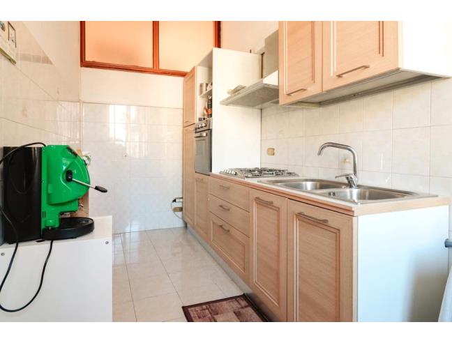 Anteprima foto 6 - Altro in Affitto a Isernia (Isernia)