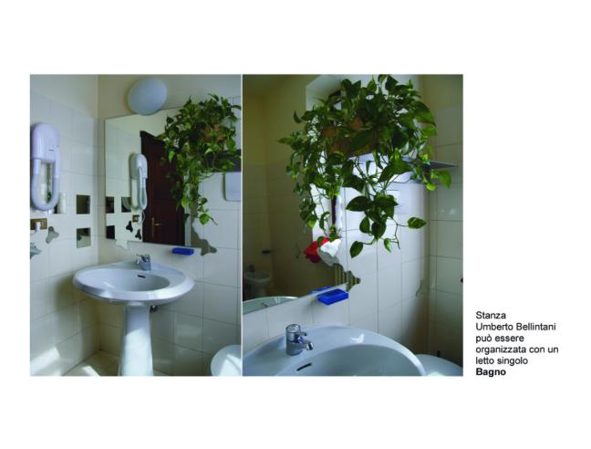 Anteprima foto 6 - Altro in Affitto a Mantova (Mantova)