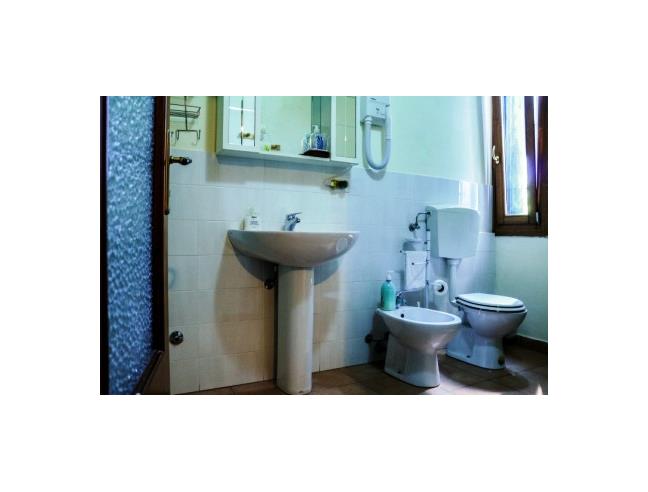 Anteprima foto 4 - Altro in Affitto a Novi di Modena (Modena)