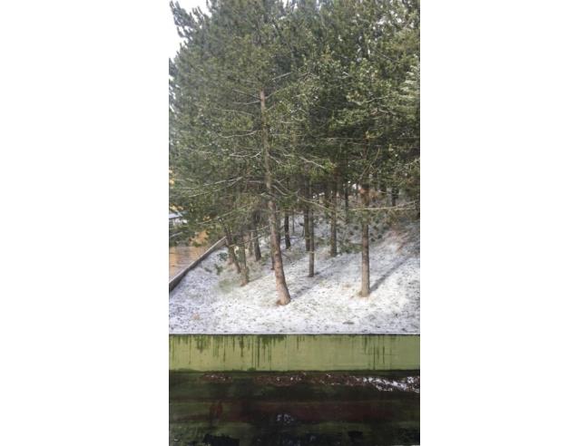 Anteprima foto 6 - Altro in Affitto a Rivisondoli (L'Aquila)