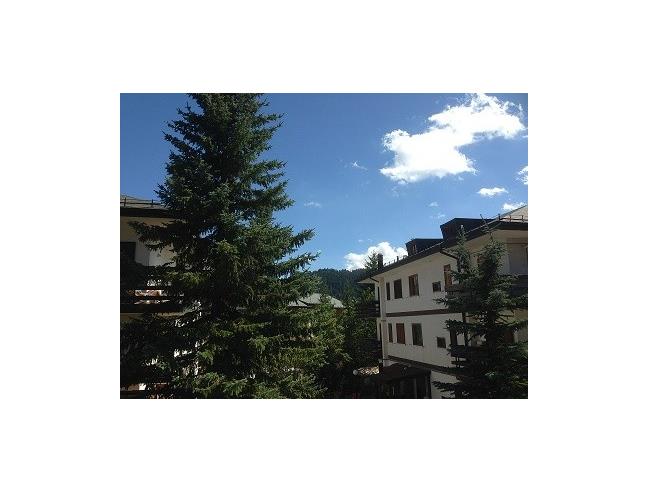 Anteprima foto 8 - Altro in Affitto a Roccaraso (L'Aquila)