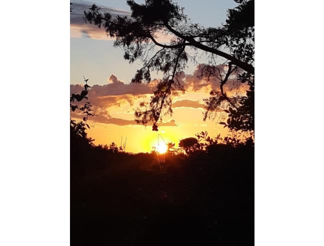 Anteprima foto 3 - Altro in Affitto a Roma - Romanina