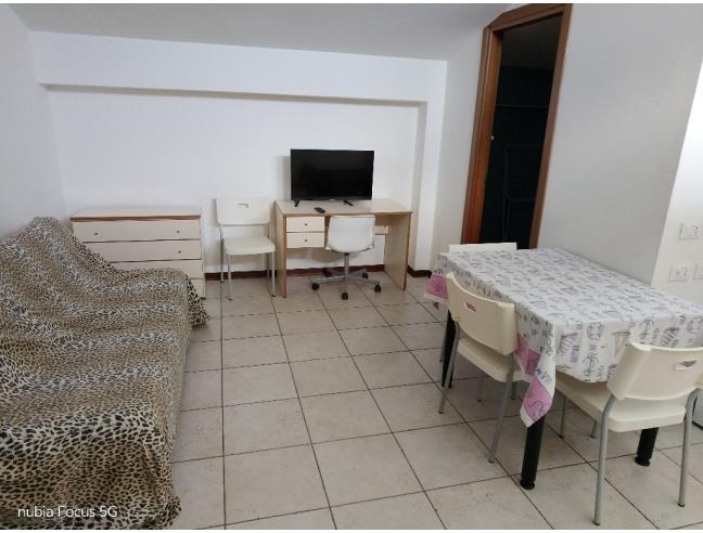 Anteprima foto 4 - Altro in Affitto a Rovigo - Borsea