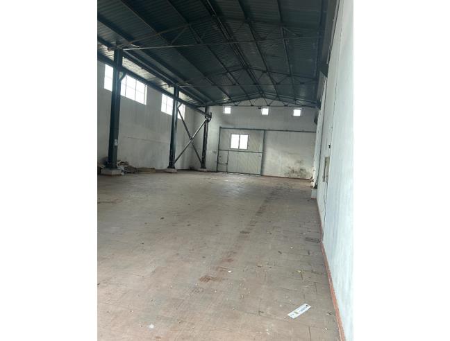 Anteprima foto 3 - Altro in Affitto a San Gennaro Vesuviano (Napoli)