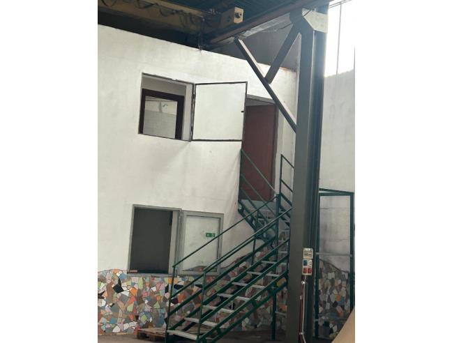 Anteprima foto 4 - Altro in Affitto a San Gennaro Vesuviano (Napoli)