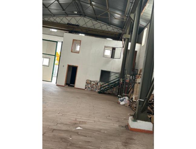 Anteprima foto 5 - Altro in Affitto a San Gennaro Vesuviano (Napoli)