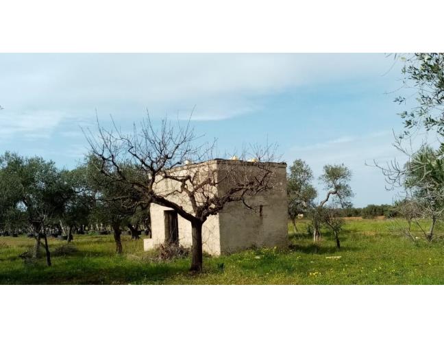 Anteprima foto 1 - Altro in Affitto a Triggiano (Bari)