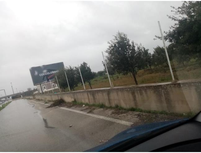 Anteprima foto 3 - Altro in Affitto a Triggiano (Bari)