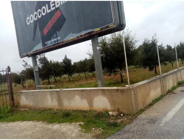 Anteprima foto 5 - Altro in Affitto a Triggiano (Bari)