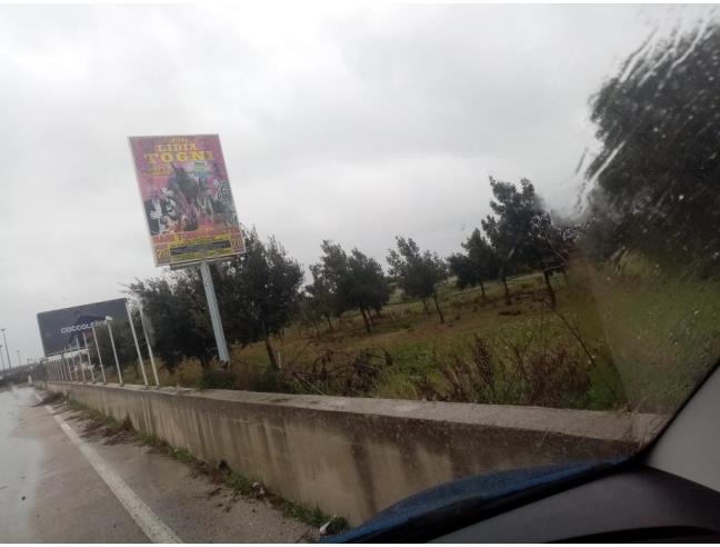 Anteprima foto 6 - Altro in Affitto a Triggiano (Bari)