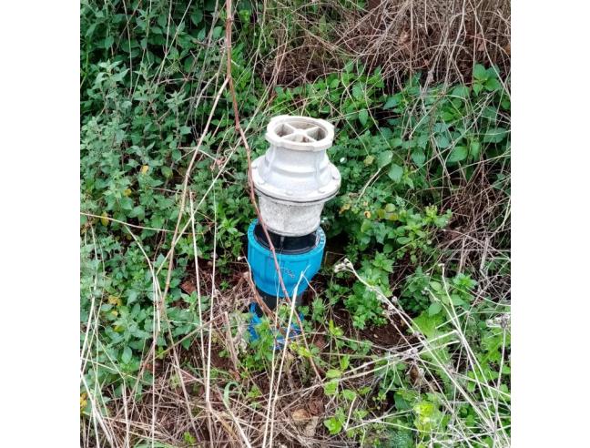 Anteprima foto 7 - Altro in Affitto a Triggiano (Bari)