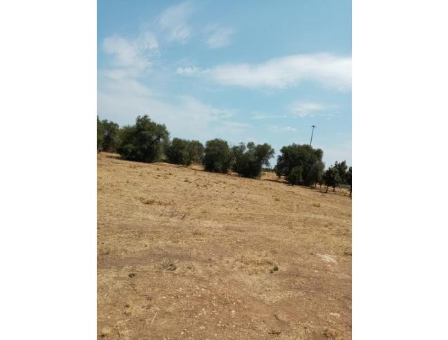 Anteprima foto 7 - Altro in Affitto a Triggiano (Bari)