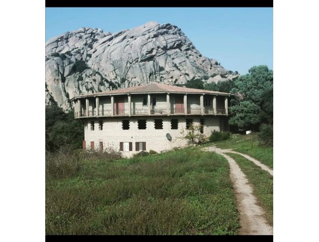 Anteprima foto 3 - Altro in Vendita a Aggius (Sassari)