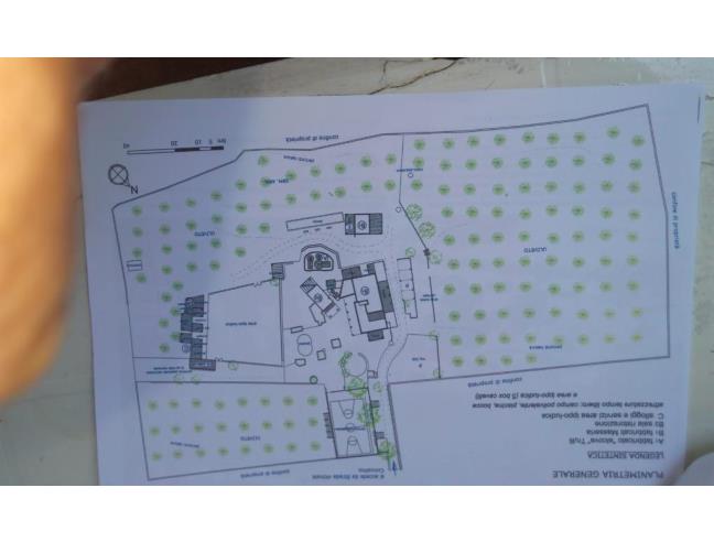 Anteprima foto 3 - Altro in Vendita a Alberobello - Coreggia