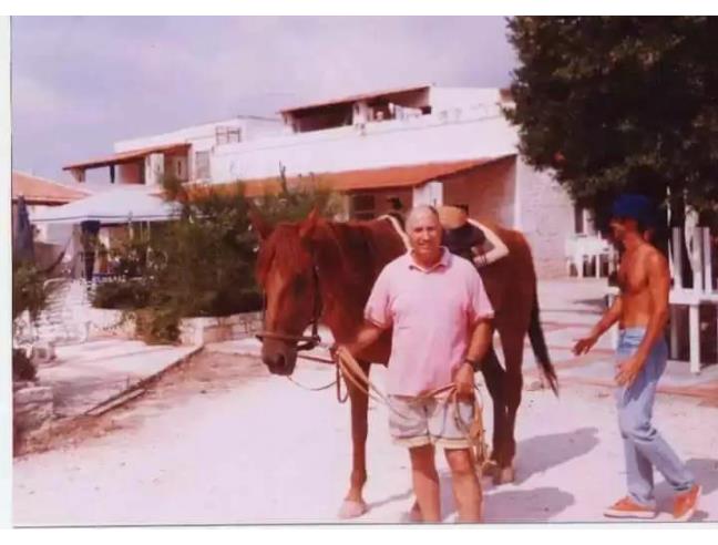 Anteprima foto 4 - Altro in Vendita a Alberobello - Coreggia