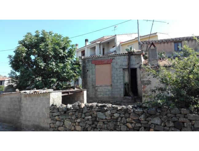 Anteprima foto 3 - Altro in Vendita a Ales - Zeppara